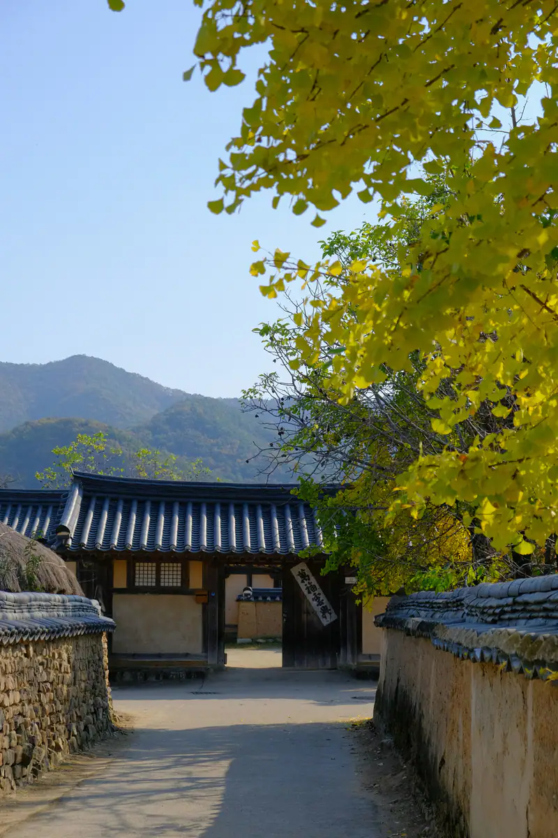 A path to a village house with the hills behind — Hahoe Folk Village, Andong