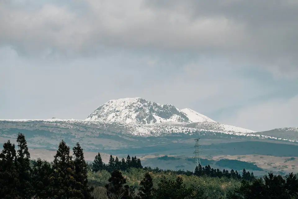 Snow on Hallasan beyond the trees — Hallasan, Jeju